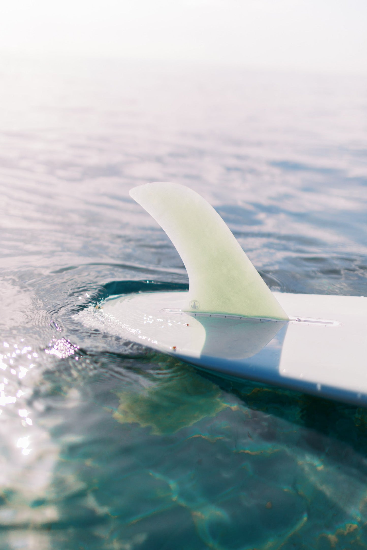 STCo. Volan Nose Rider Fin